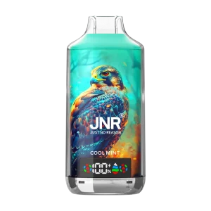JNR falcon x 18k Cool Mint disposable vape