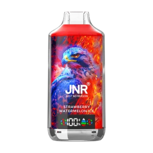 JNR falcon x 18k Strawberry Watermelon Ice disposable vape