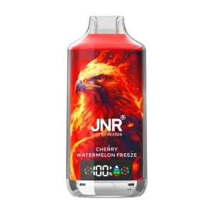 JNR falcon x 18k Cherry Watermelon Freeze disposable vape