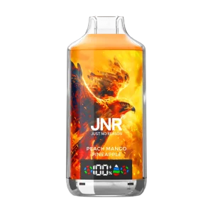 JNR falcon x 18k Peach Mango Pineapple disposable vape