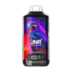 JNR falcon x 18k Peach Berry disposable vape